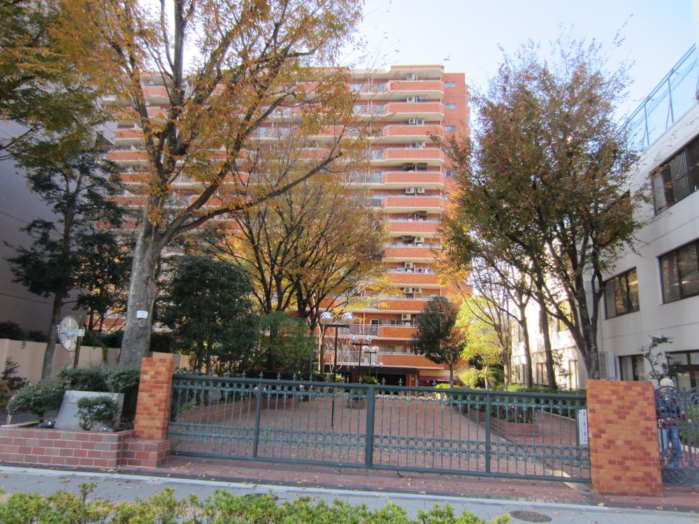 Local appearance photo. 2013 December shooting