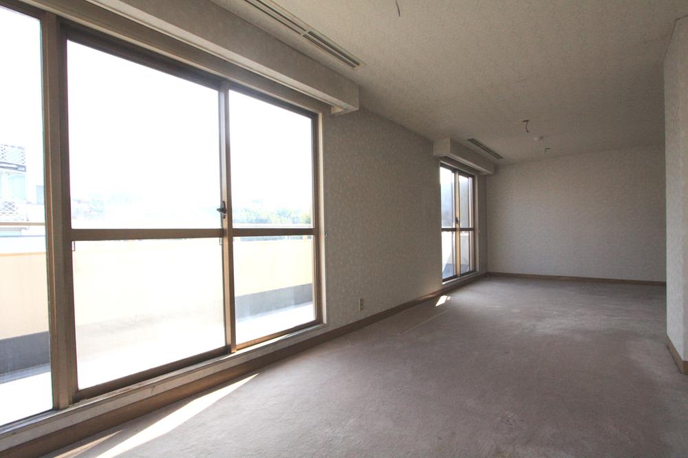 Living. LD (another angle)