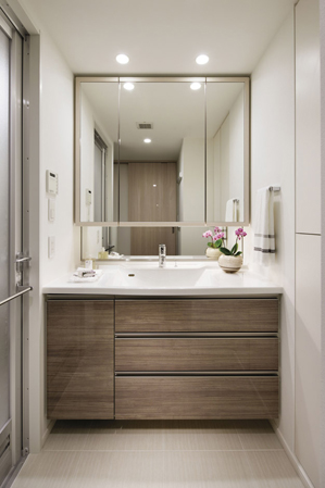 Bathing-wash room.  [Powder Room] (Model Room 70Da type)