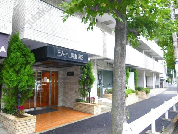 Local appearance photo