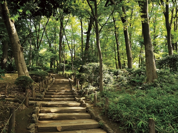 Other. Miya Arisugawa Memorial Park (8-minute walk / About 640m). The Municipal Park, In the Edo era it was used as a suburban residence of Morioka southern clan. The park, which was taking advantage of the ups and downs of Azabudai land is, We spread dark green that does not think the city center. Mountain streams and waterfalls, The appearance of the pond, Vestiges of Meien will be remembered