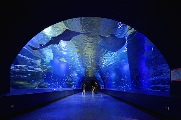 Surrounding environment. Epson Shinagawa Aqua Stadium (7 min walk / About 540m)