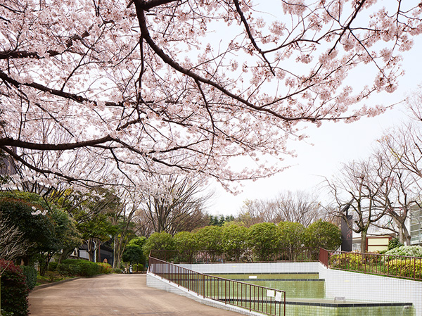 Surrounding environment. Takanawa Park (a 3-minute walk / About 200m)