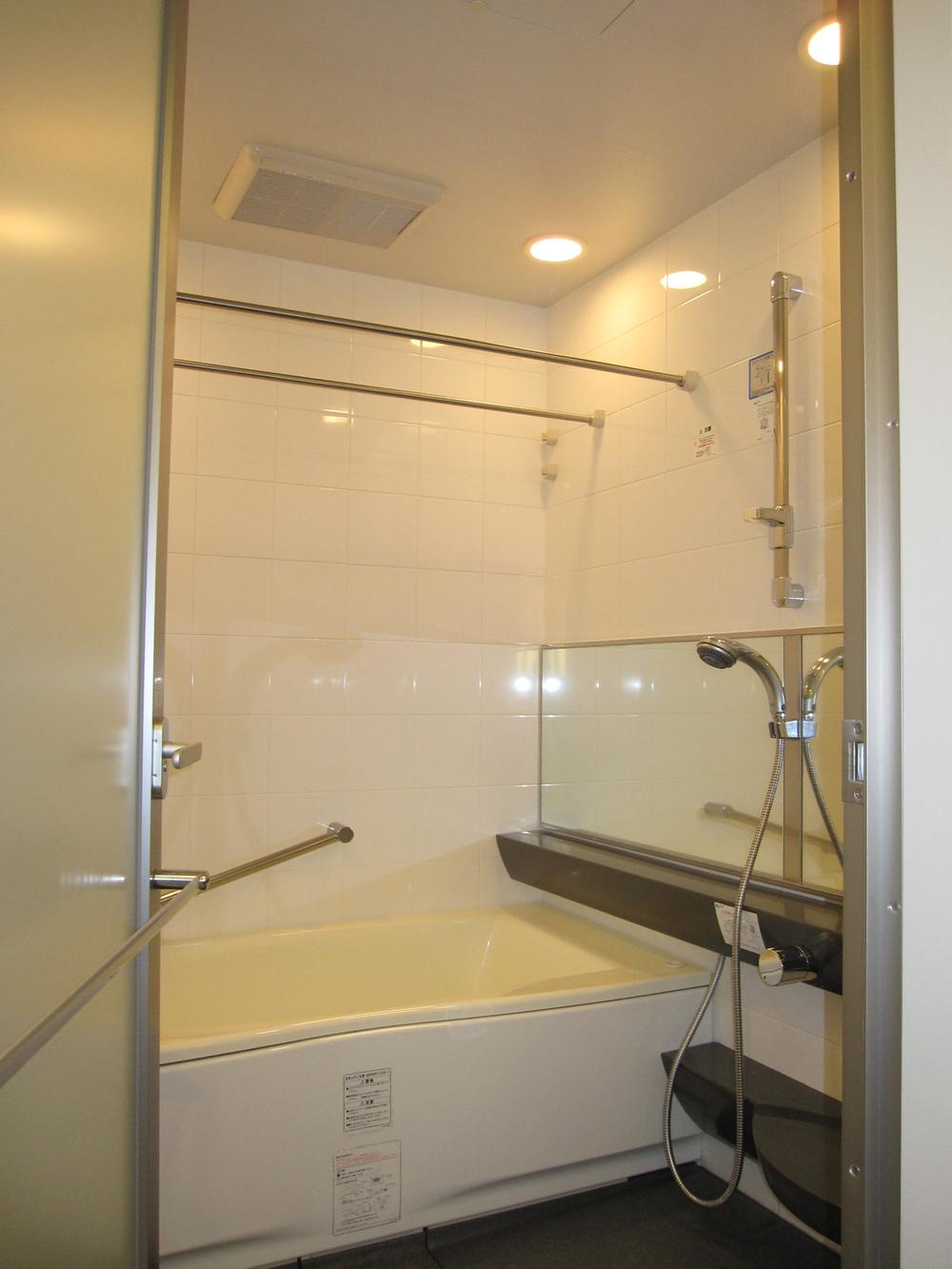 Bathroom. Room (August 2012) shooting