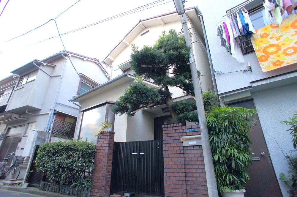 Local land photo. Local (11 May 2013) Shooting