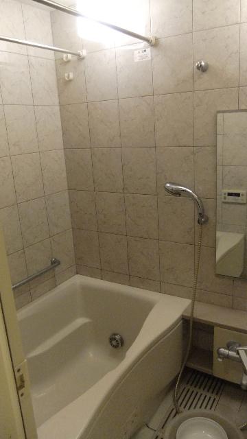 Bathroom. Indoor (12 May 2013) Shooting