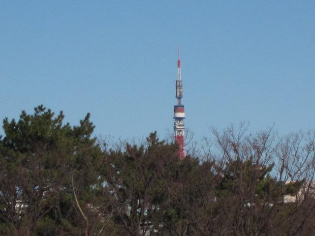 View photos from the dwelling unit. View from the site (December 2013) Shooting