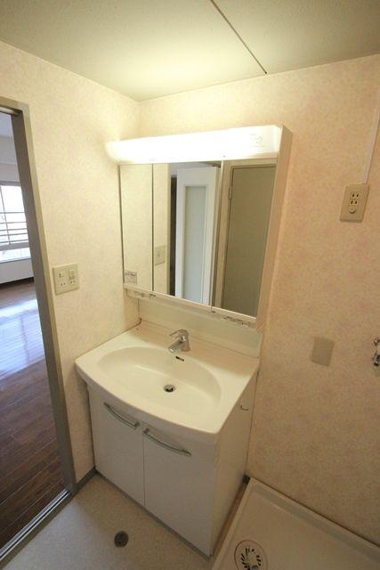 Wash basin, toilet. Bathroom vanity