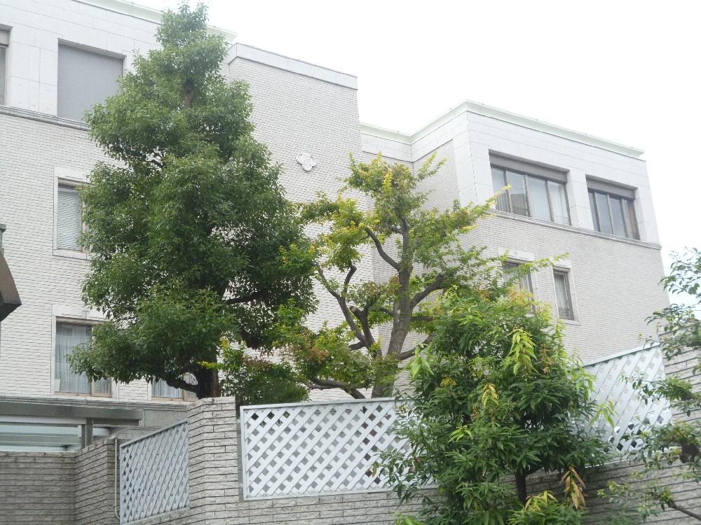 Local appearance photo. Local (September 2013) Shooting