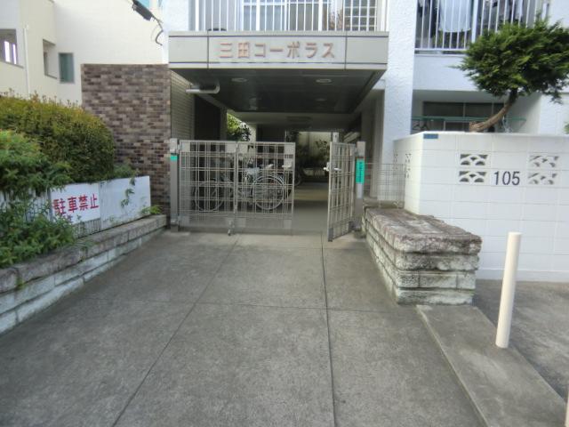 Entrance. Common areas