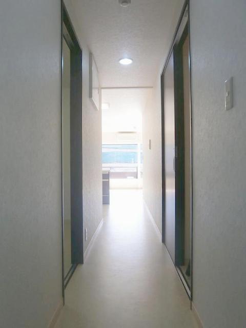 Other introspection. Corridor