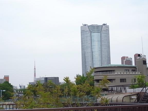View photos from the dwelling unit. View from the roof balcony Roof balcony overlooks nearly 360 degrees.