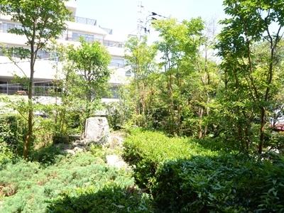 View photos from the dwelling unit