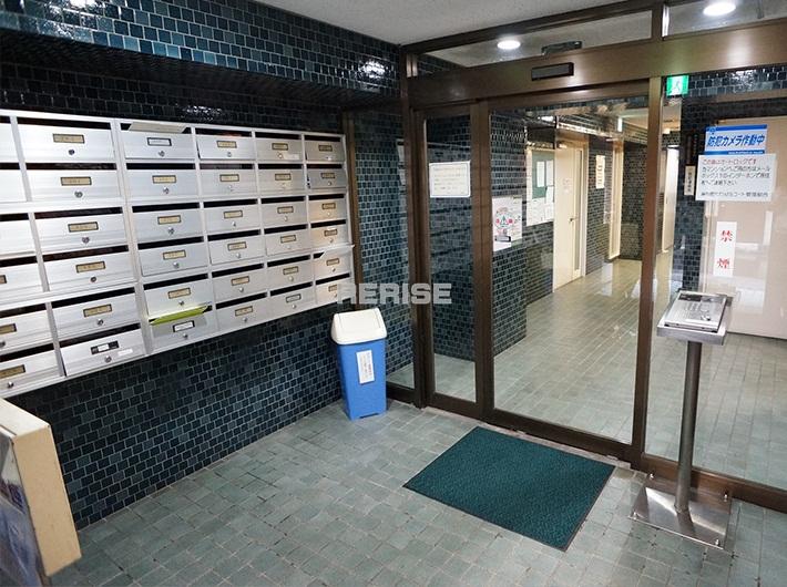 Entrance. Common areas