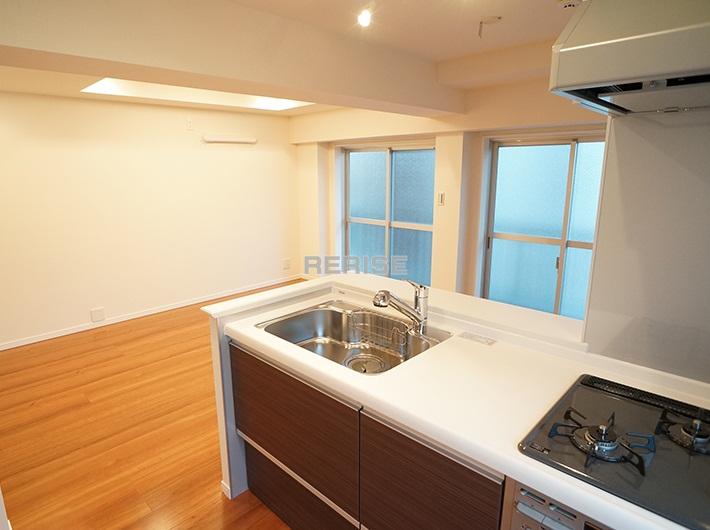 Kitchen. Popular counter kitchen