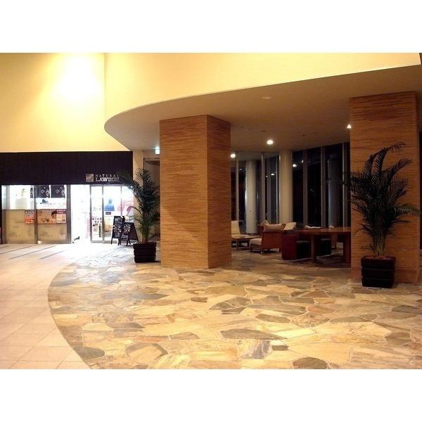 Other common areas. Convenience store and lounge