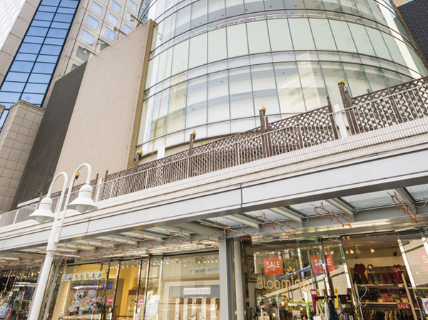 Surrounding environment. Including the Aquarium, Fun attractions, Indoor complex that features such as live Hall Ya "Epson Shinagawa Aqua Stadium", 11 was equipped with a screen, "Shinagawa Prince Cinema", Like bowling center with 80 lanes, This hotel is a variety of entertainment are met. Shinagawa west entrance area is shopping ・ Amusement facilities are gathering. (Photo Shinagawa Prince Hotel / About 1520m ・ 19 minutes walk)