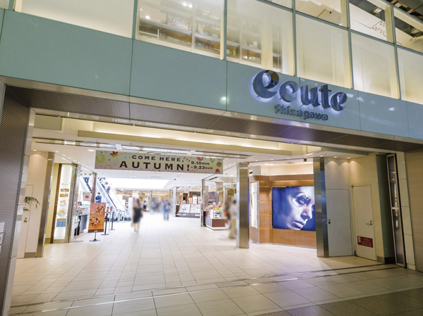 Surrounding environment. JR "Shinagawa" of station Ekinaka "ecute Shinagawa" (photo / About 1180m ・ To walk 15 min)ese confectionery, fashion, Delica, Shop a large number sequence, such as Flower, To "ecute Shinagawa South" is, Book, Restaurant, convenience store, Bakery, There is a general store. Also, Station building "LUMINE ・ The ・ Including Kinokuniya entree of supermarkets in the kitchen. ", Cafe, There is an Italian restaurant, Shop easily enjoy shopping and gourmet has been enhanced.
