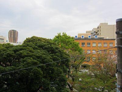 View photos from the dwelling unit