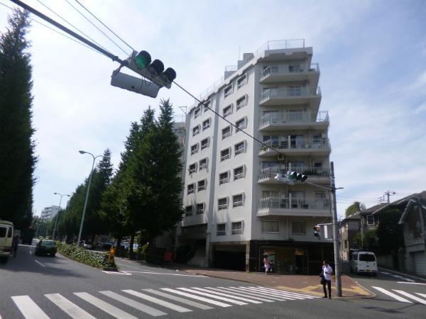 Local appearance photo. Platinum Street and of the entire building appearance.