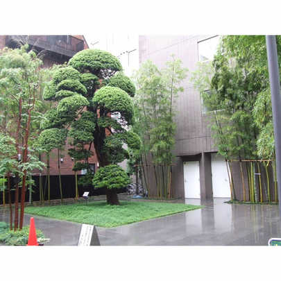 Local appearance photo. Tokyo, Minato-ku, Nishi Shimbashi 1-chome