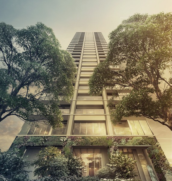 In fact a somewhat different in what Exterior - Rendering (the drawings caused draw based on. Also, Planting is of the planning stage, There are cases where tree species, etc. are subject to change)