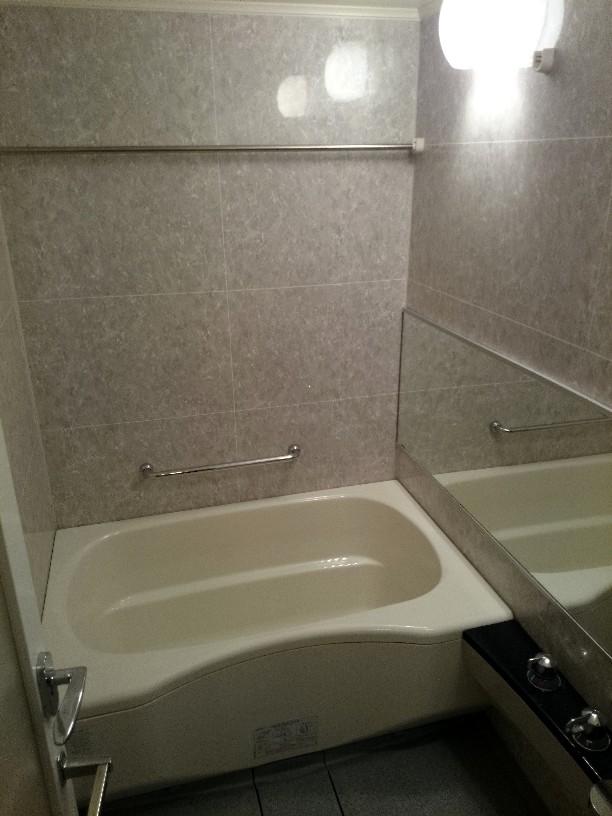 Bathroom. Indoor (January 2014) Shooting