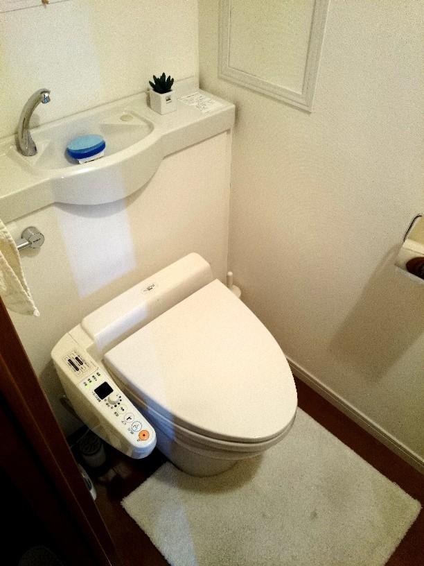 Toilet. Indoor (January 2014) Shooting