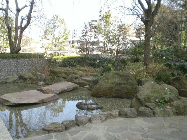 Garden. Local (July 2013) Shooting