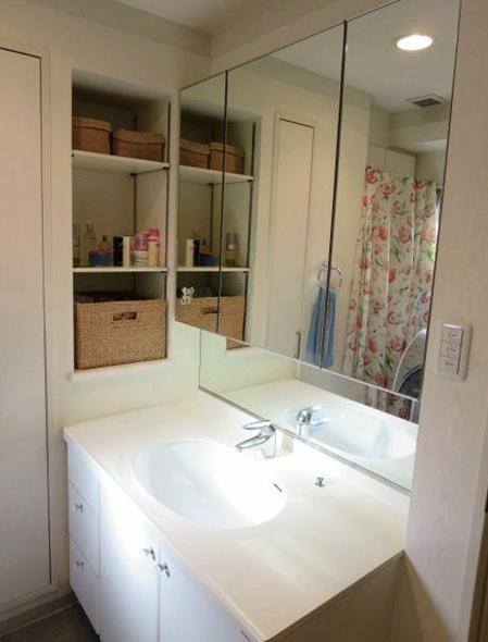 Wash basin, toilet. Vanity with «vanity» cleanliness.