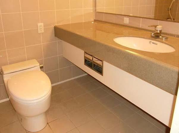 Toilet. Tankless toilet