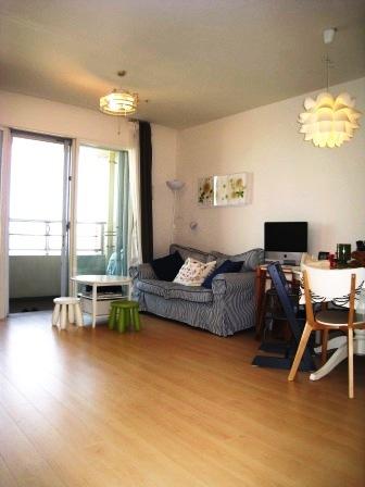 Living. Southeast of the bright living room (flooring: maple taste)