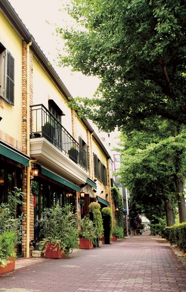 Other. Namiki is beautiful Platinum Street (bicycle about 5 minutes ・ About 1000m) Fashion grocery stores, etc. are lined up nice elegant buildings of restaurants and sense, Main street of the "platinum" area