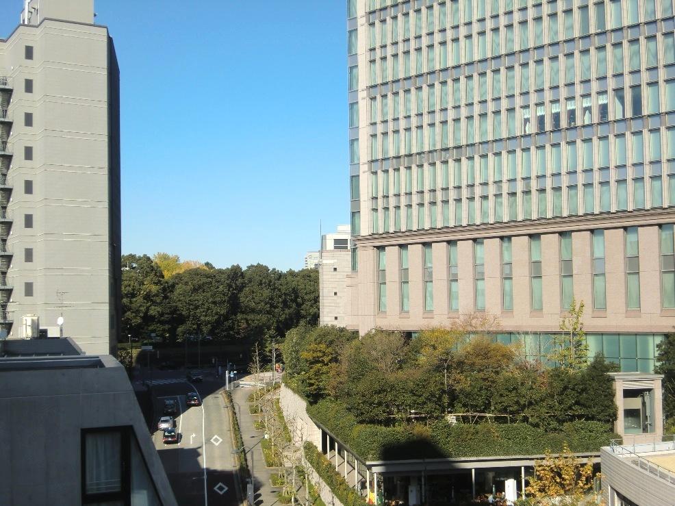 View photos from the dwelling unit. View from the site (November 2013) Shooting