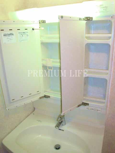 Wash basin, toilet. Bathroom vanity