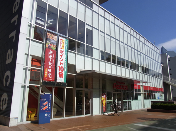 Surrounding environment. Daimarupikokku Shibaura Island store (about 850m ・ 11-minute walk)