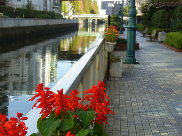 Surrounding environment. New turf canal 沿緑 land (about 250m ・ 4-minute walk)