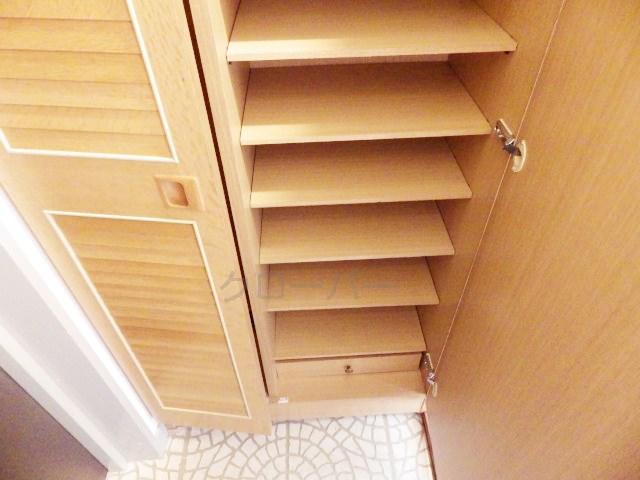 Entrance. Footwear purse