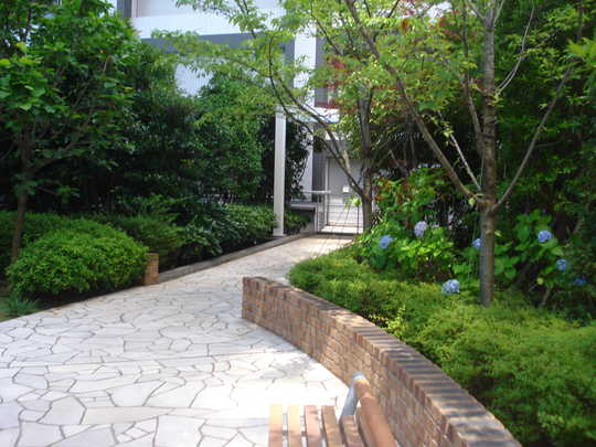 Local appearance photo