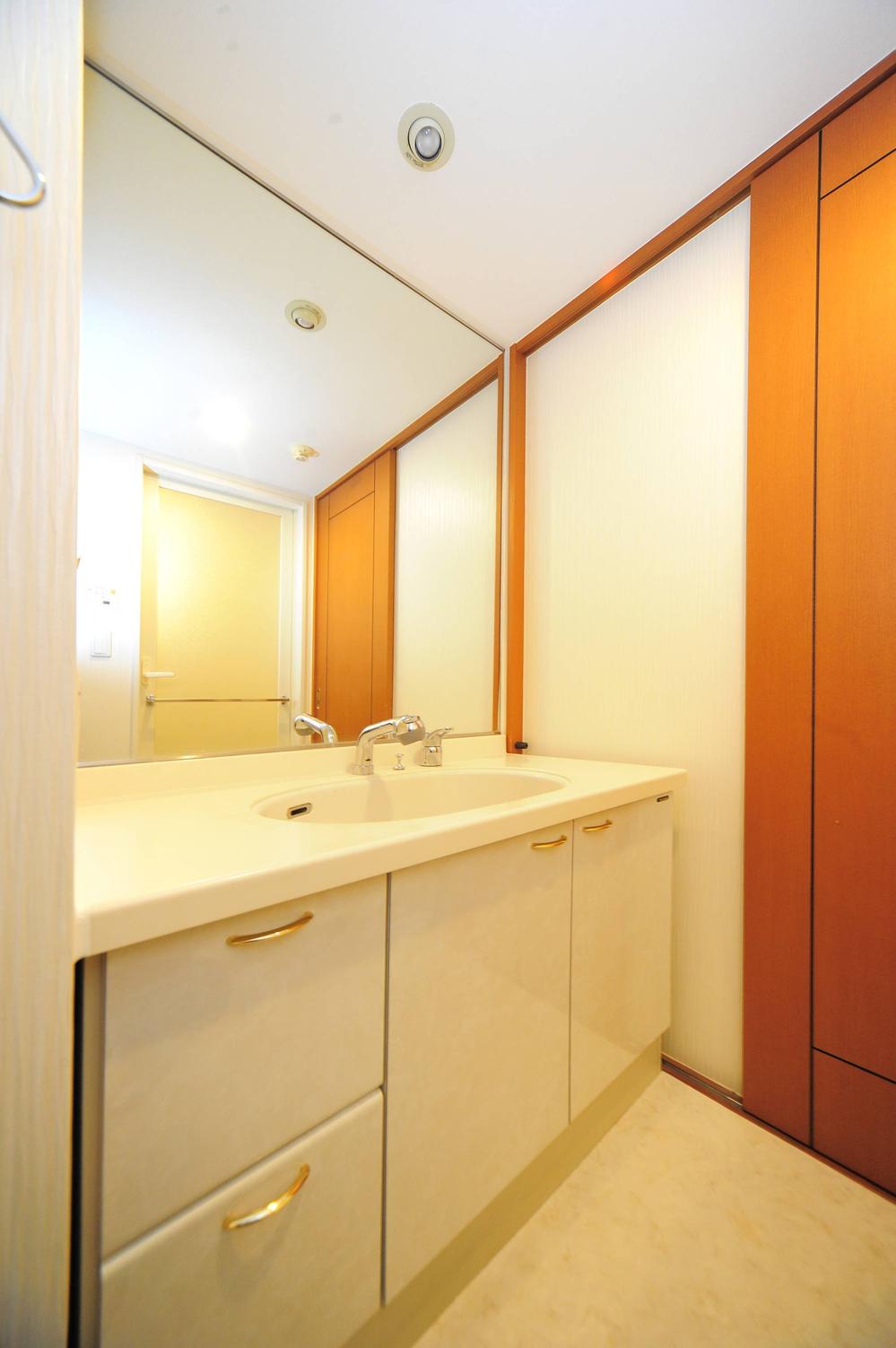 Wash basin, toilet. Vanity with shower. Storage is also rich.
