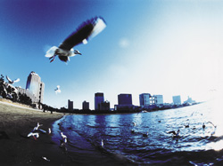 Surrounding environment. Odaiba (about 5800m), "Aqua City Odaiba," "Venus Fort", "Palette Town," "Oedo Onsen Monogatari" familiar spot, such as is equipped.