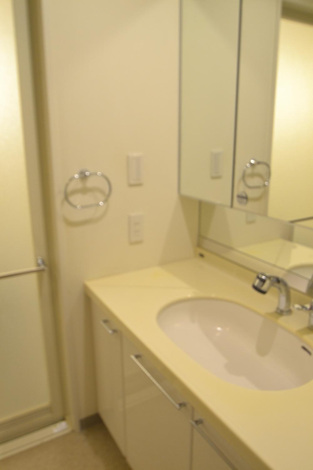 Wash basin, toilet. Indoor (12 May 2013) Shooting