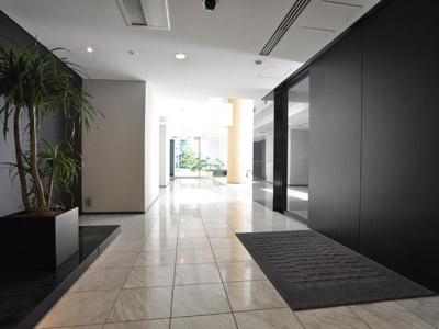 Entrance. Common areas