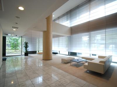 Entrance. Common areas