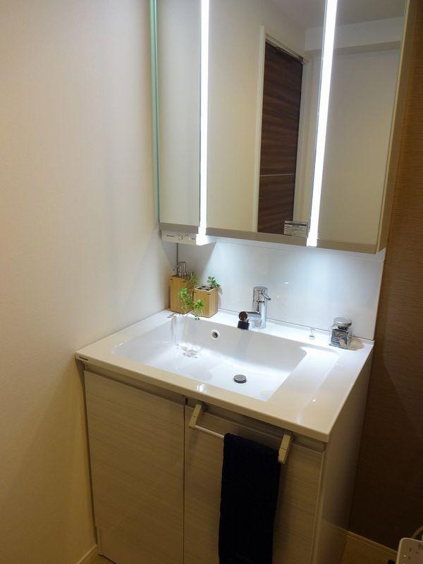 Wash basin, toilet. Bathroom vanity