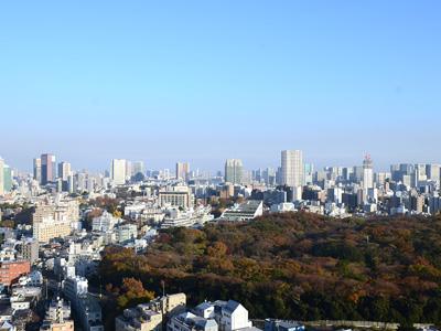 View photos from the dwelling unit