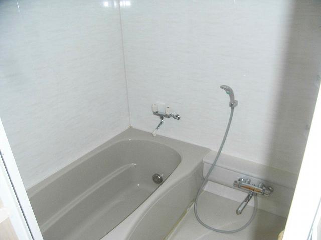 Bathroom. Dressing room before the bathroom can be a lot of storage.