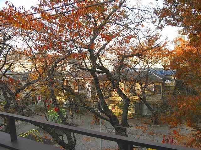 View photos from the dwelling unit. View from the site (December 2013) Shooting, Front of is the park