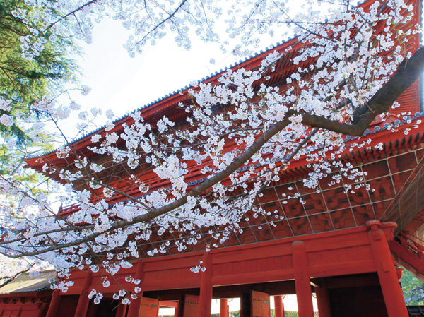 Surrounding environment. Zojoji Temple (about 770m / A 10-minute walk)