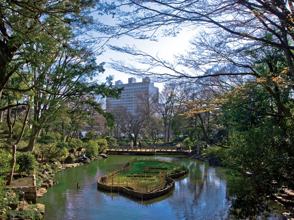 Surrounding environment. Miya Arisugawa Memorial Park (about 550m)